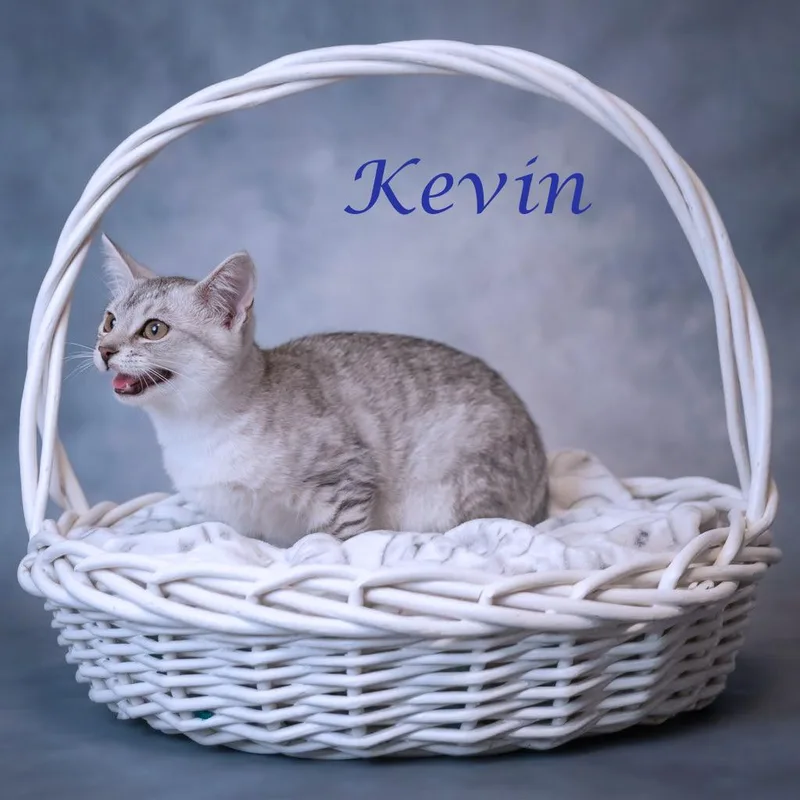 Kevin C thumbnail 5