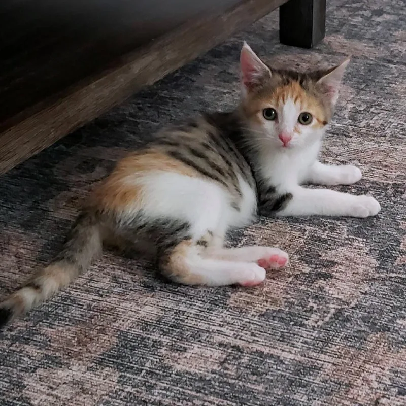 Sally thumbnail 3