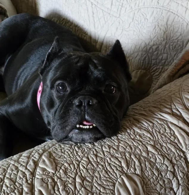 Winnie thumbnail 3