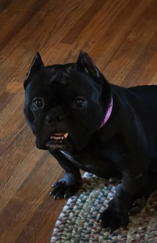 Winnie thumbnail 4