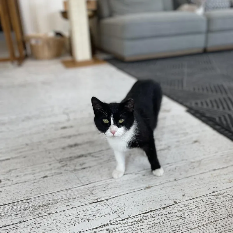 Francine thumbnail 2