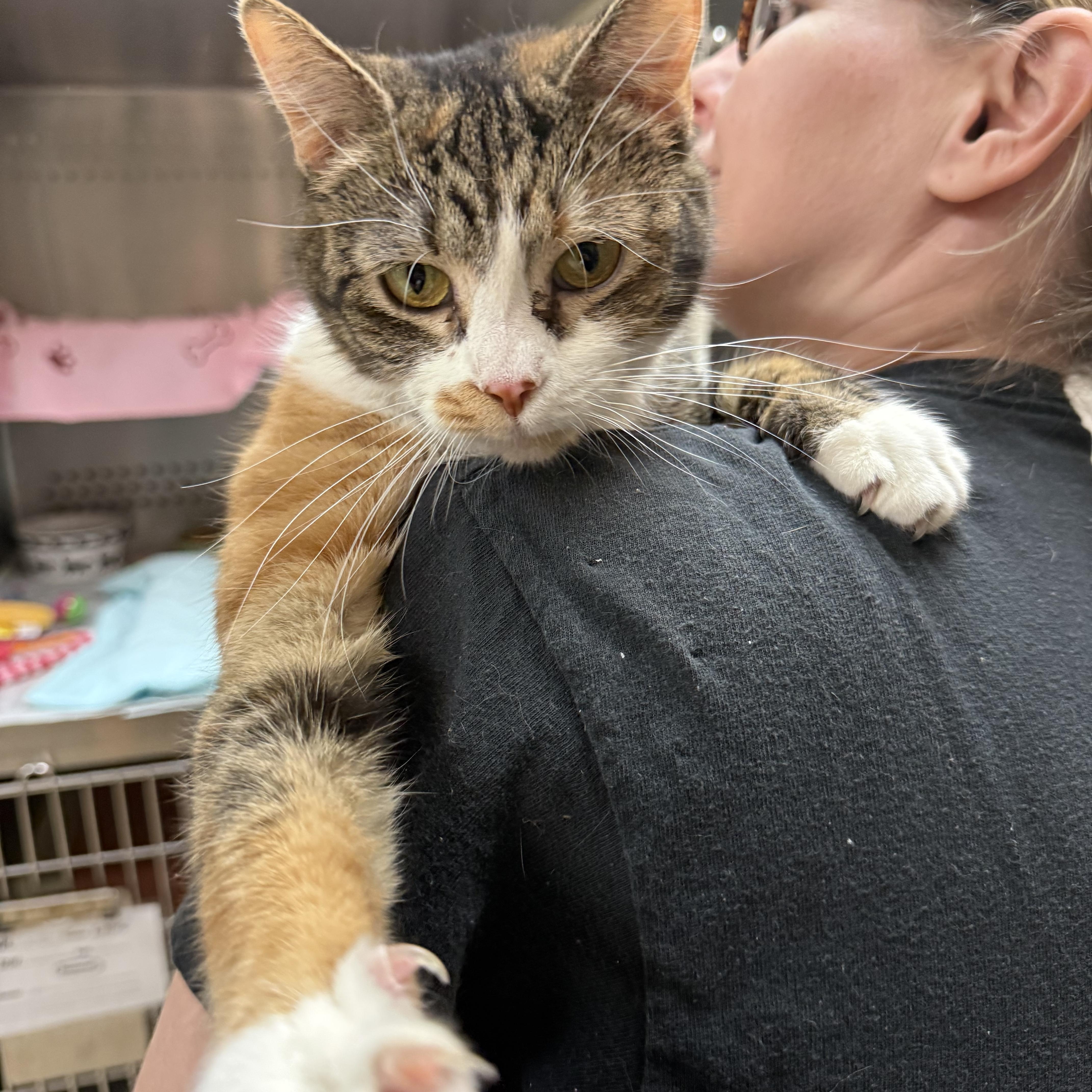 Jeanette thumbnail 2