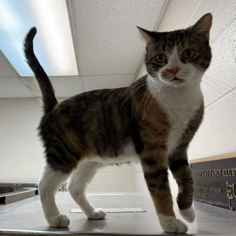 Jeanette thumbnail 3