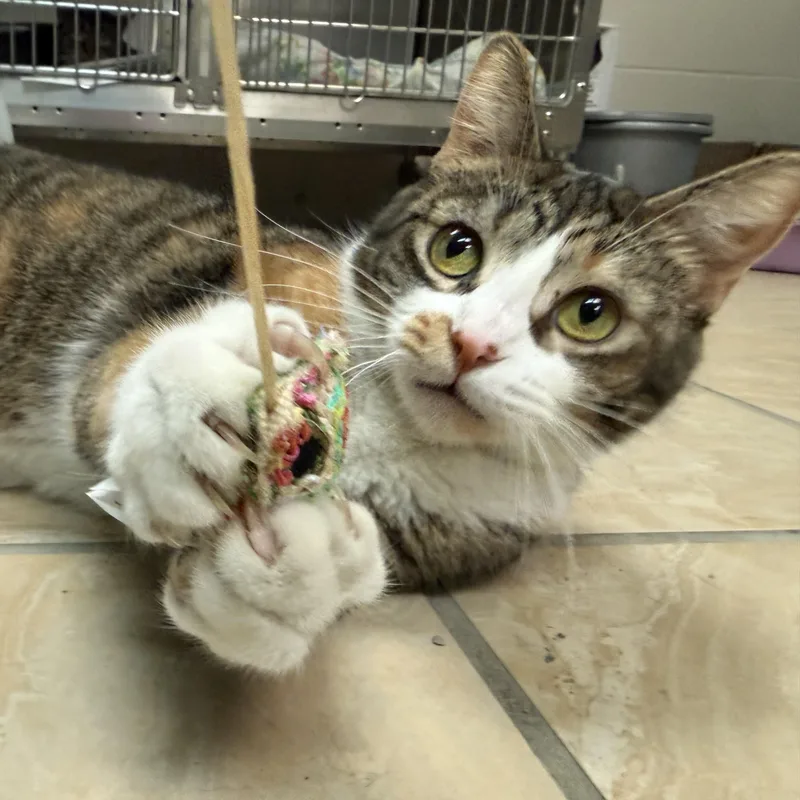 Jeanette thumbnail 4