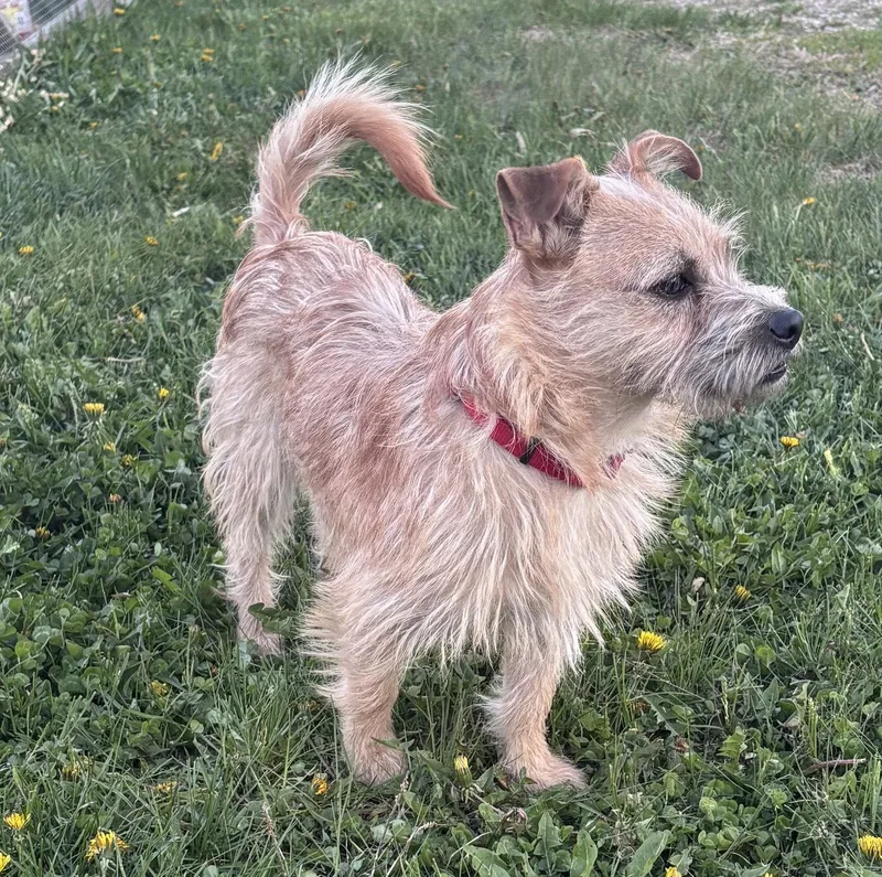 Duncan