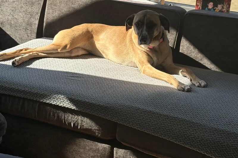 Leia Alexandra thumbnail 2