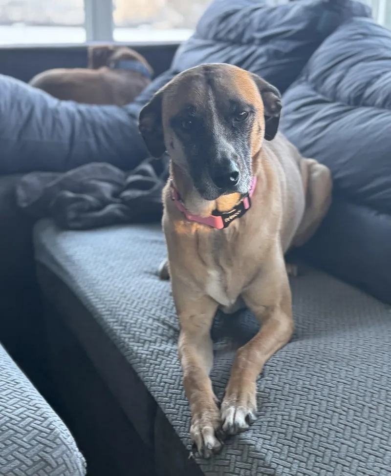 Leia Alexandra thumbnail 3