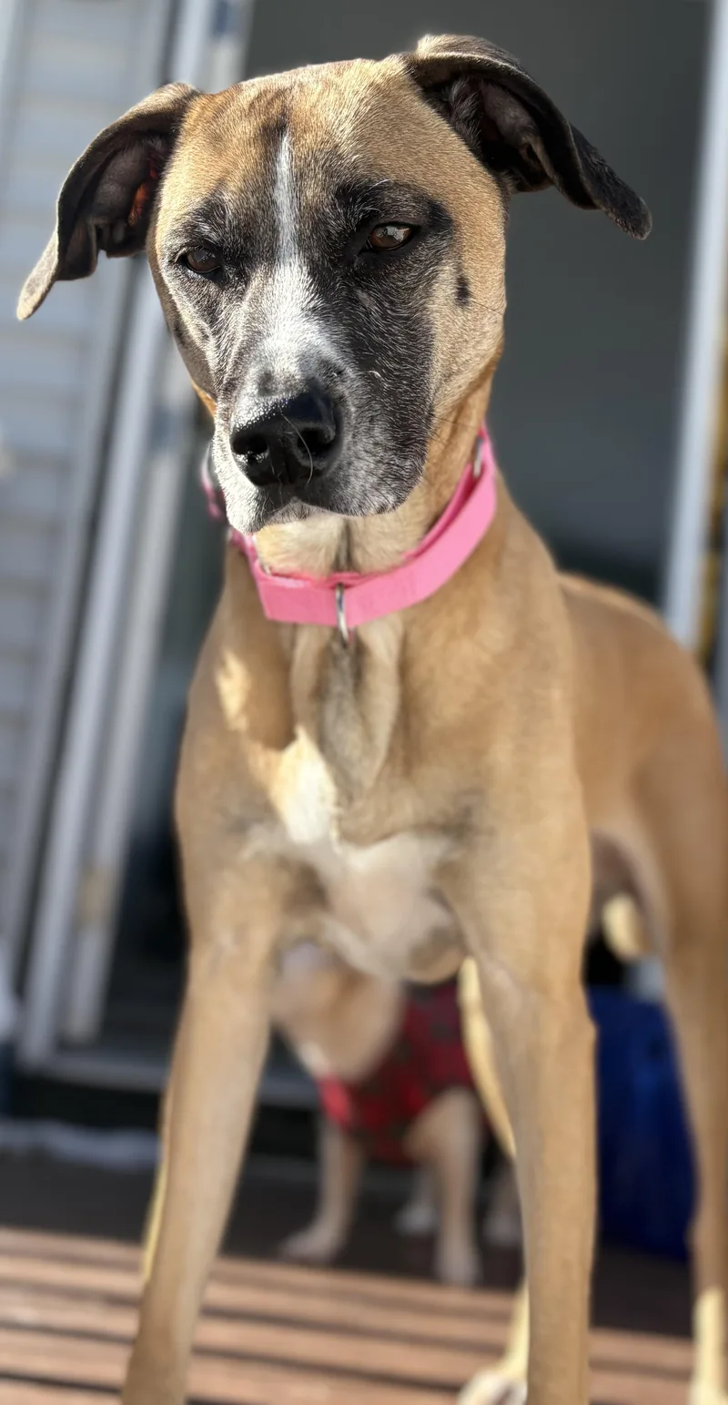 Leia Alexandra thumbnail 4