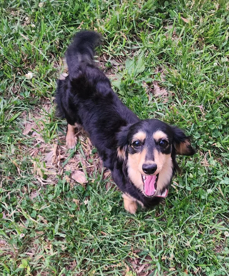 Skylar In Tn thumbnail 3
