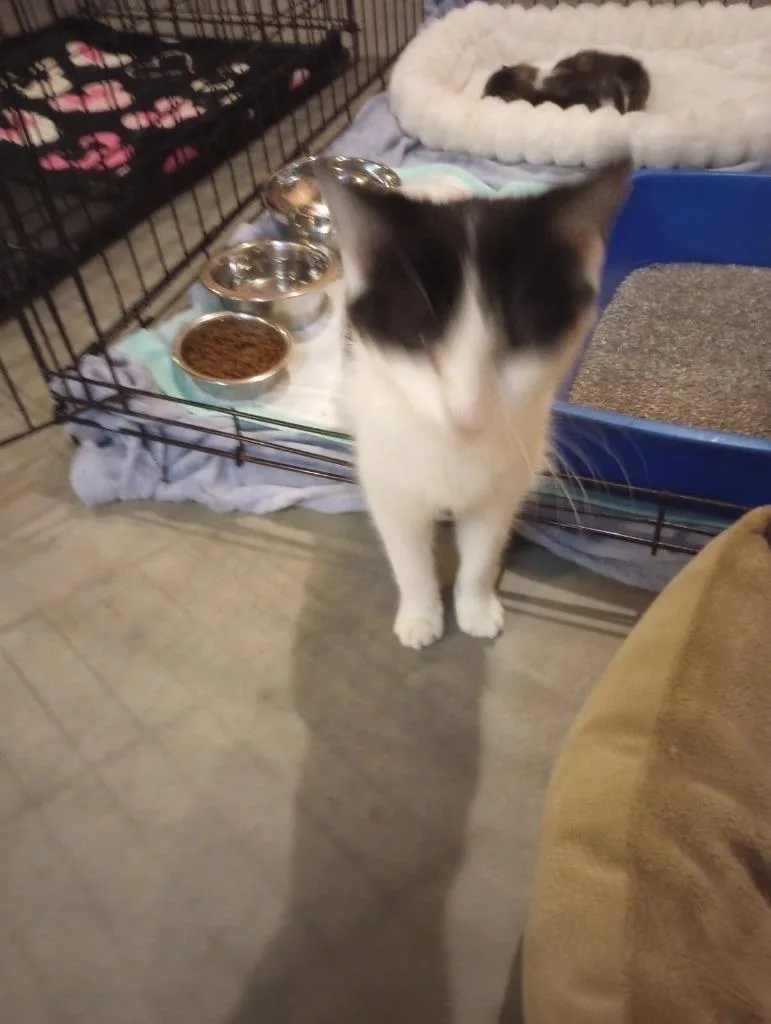 Rosie The Riviter thumbnail 2