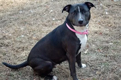 Bella Fka Judy thumbnail 2