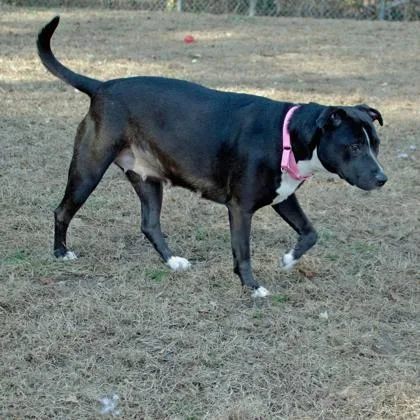 Bella Fka Judy thumbnail 3