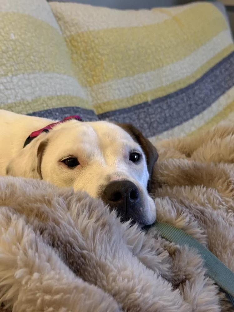 Wes Aka Wesleya thumbnail 2