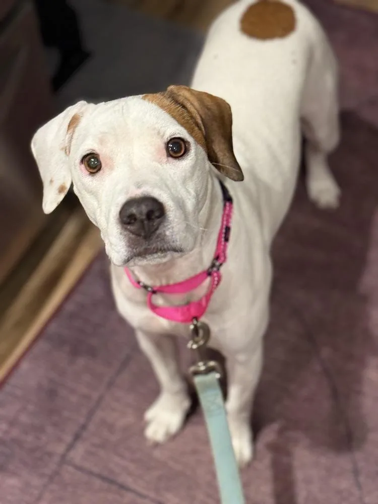 Wes Aka Wesleya thumbnail 3