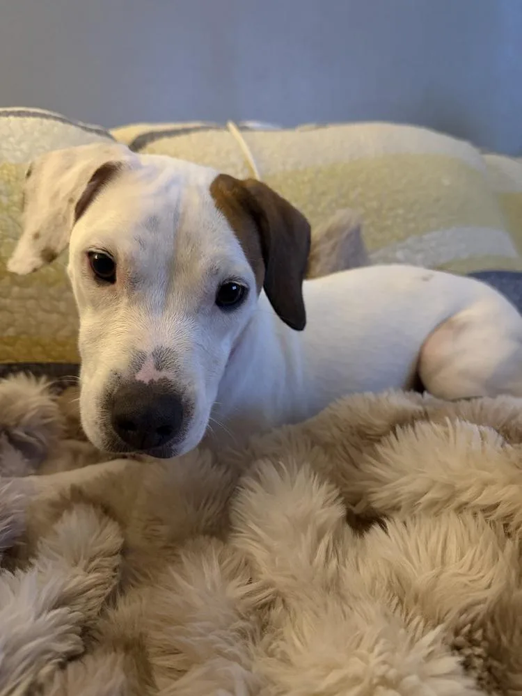 Wes Aka Wesleya thumbnail 4