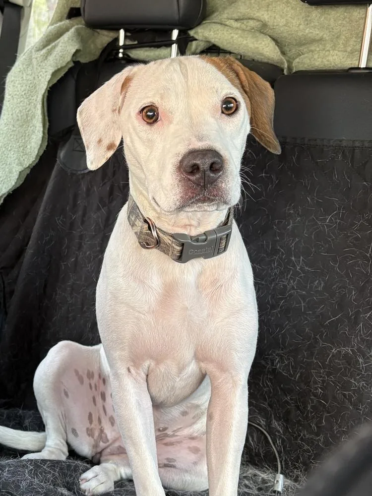 Wes Aka Wesleya thumbnail 5