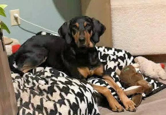 Tex