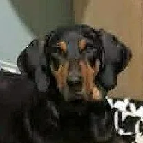 Tex thumbnail 2