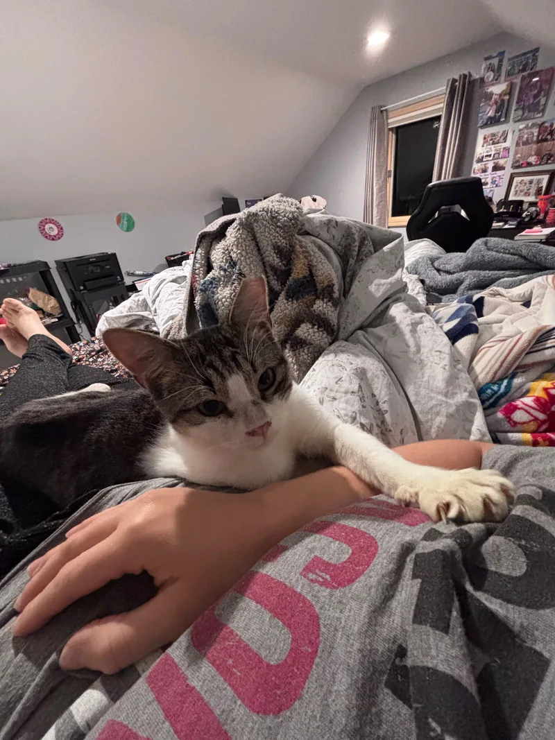 Buttercup thumbnail 5