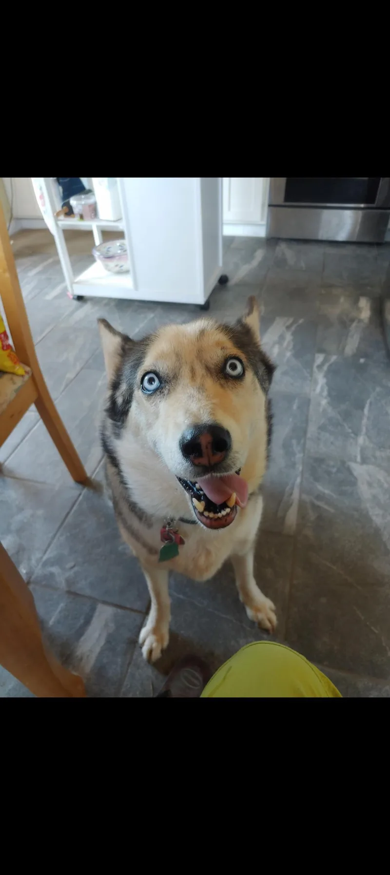 Stella thumbnail 2