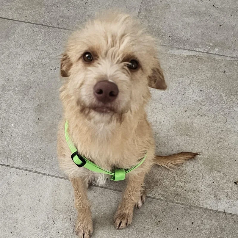 Gigi Pepper thumbnail 2