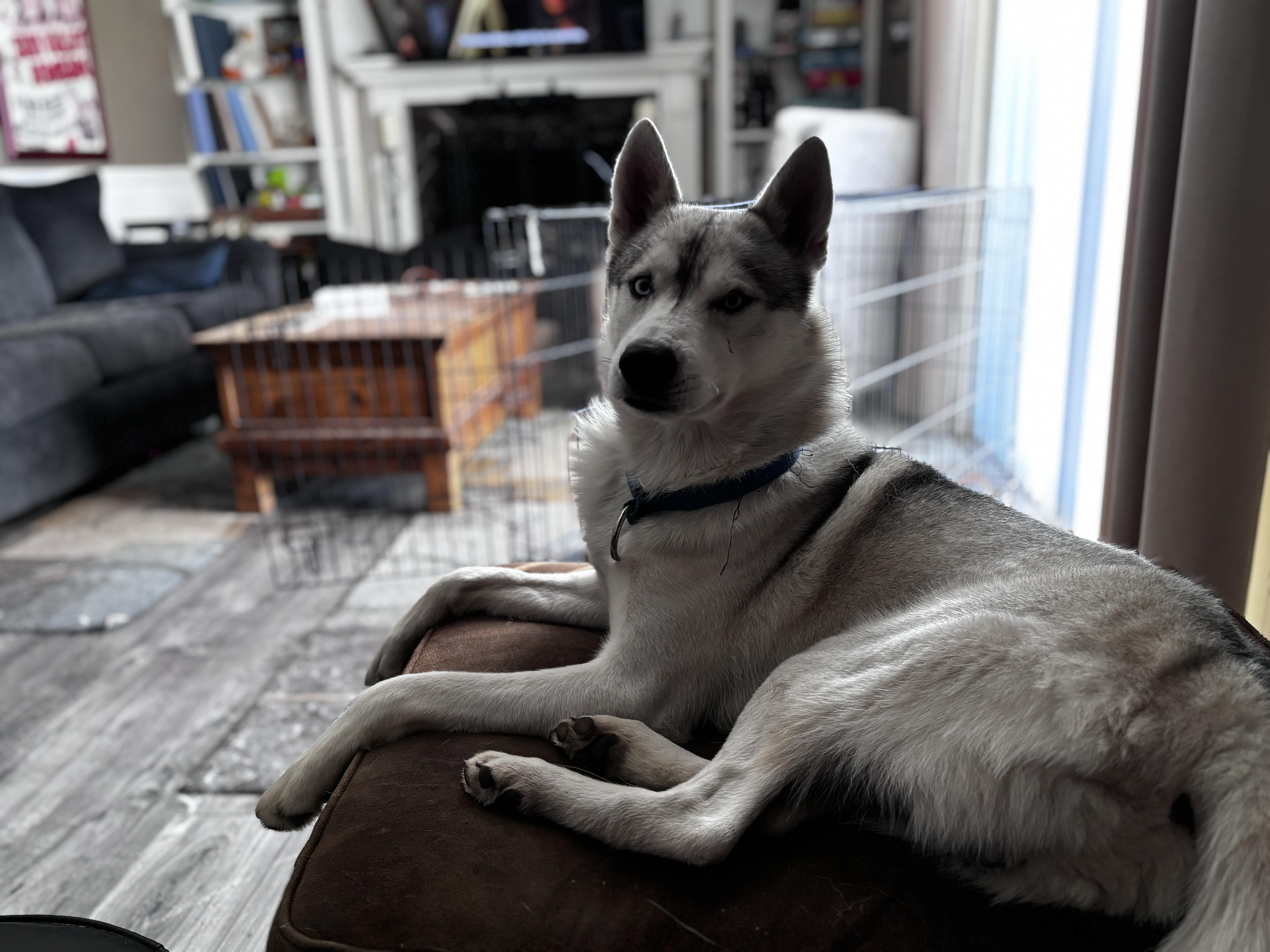 Maverick thumbnail 3