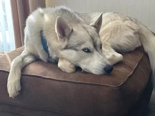 Maverick thumbnail 4