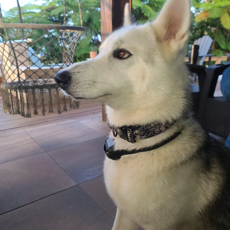 Poseidon "making Waves With thumbnail 2