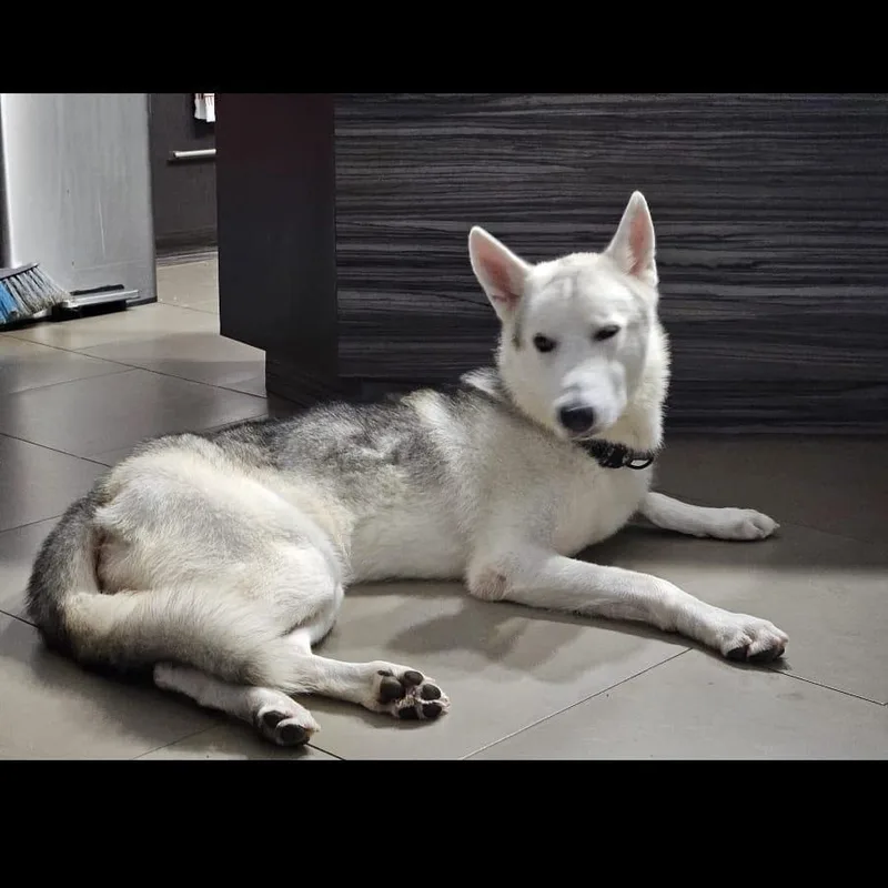 Poseidon "making Waves With thumbnail 3