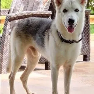 Poseidon "making Waves With thumbnail 4