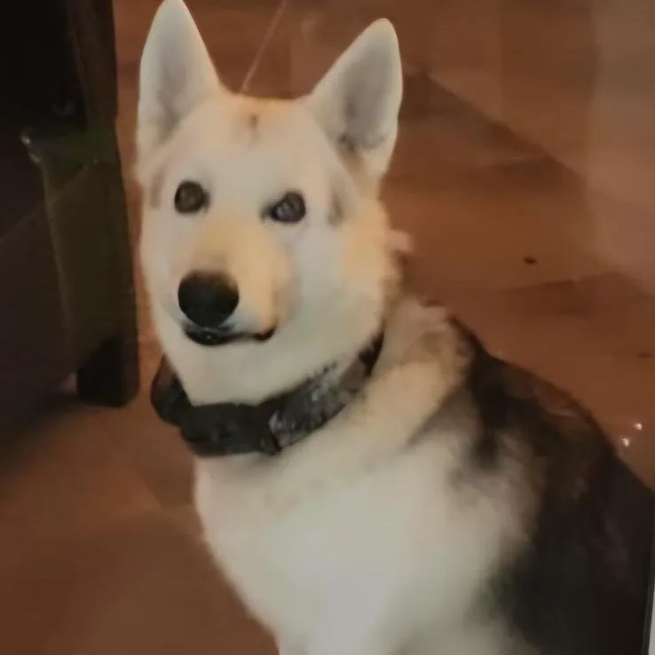 Poseidon "making Waves With thumbnail 5