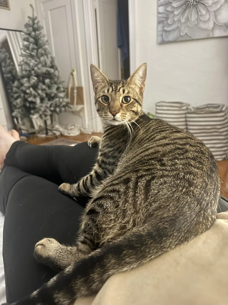 Tracker & Scout thumbnail 3