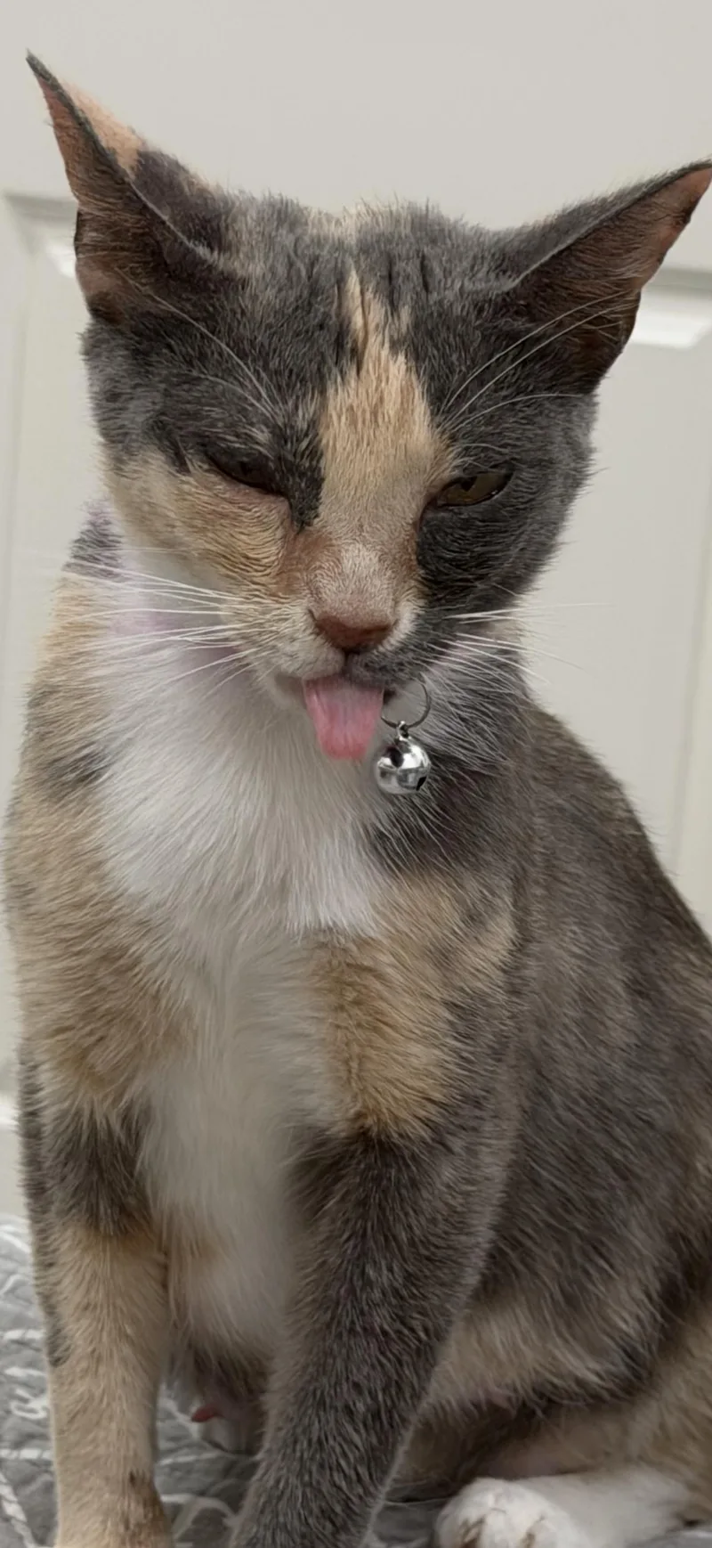 Lucy Lou thumbnail 2