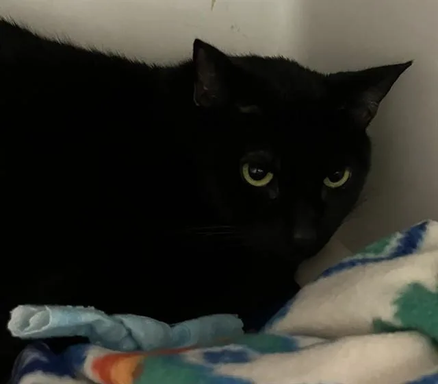 Salem