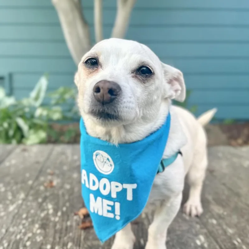 Miss Marley thumbnail 3