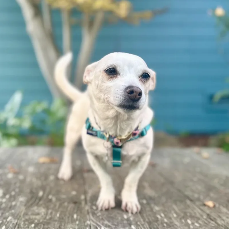 Miss Marley thumbnail 5