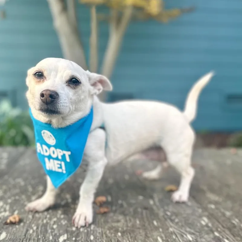 Miss Marley thumbnail 6