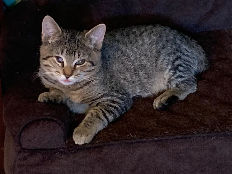 Carter & Tucker thumbnail 2