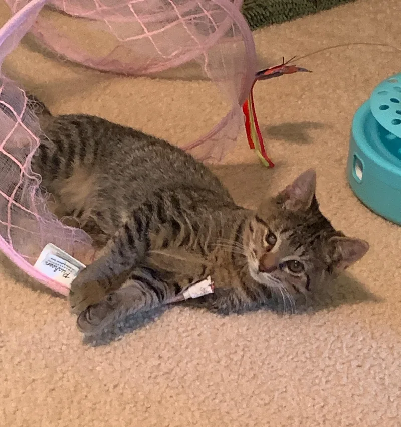 Carter & Tucker thumbnail 3