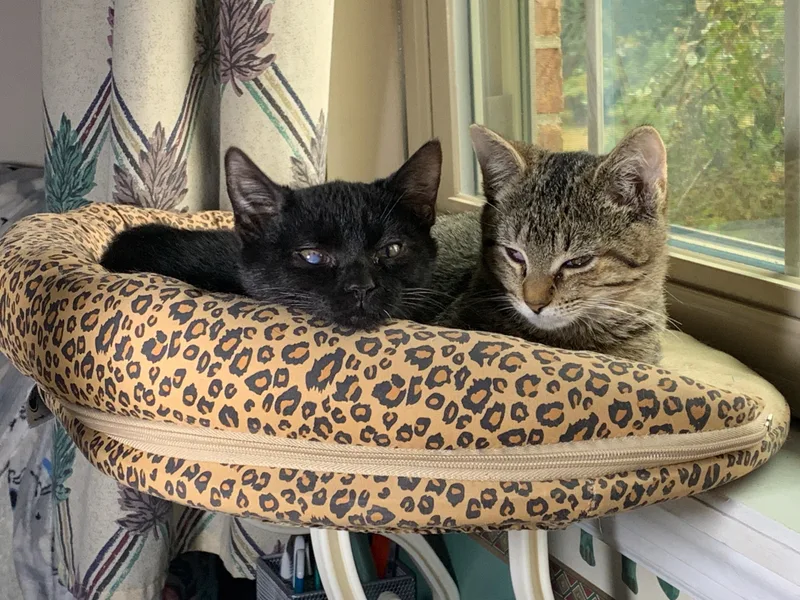 Carter & Tucker thumbnail 5