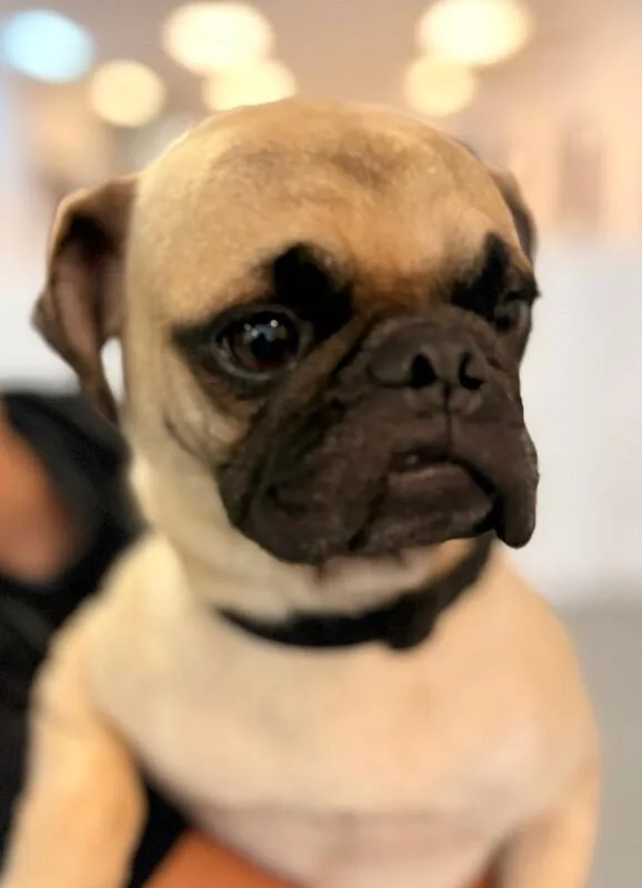Coco