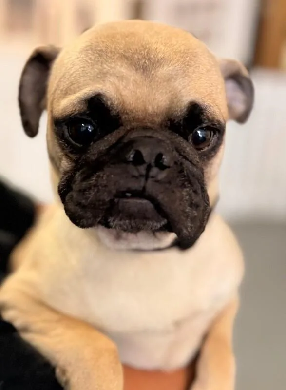 Coco thumbnail 2