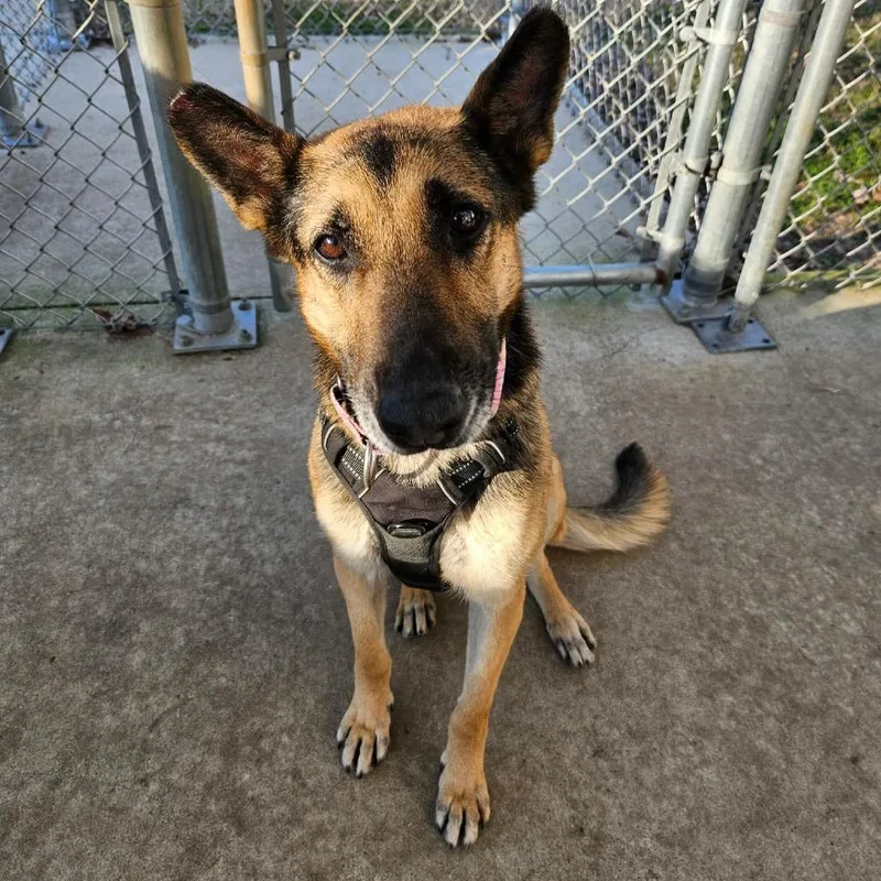 Miss November thumbnail 5