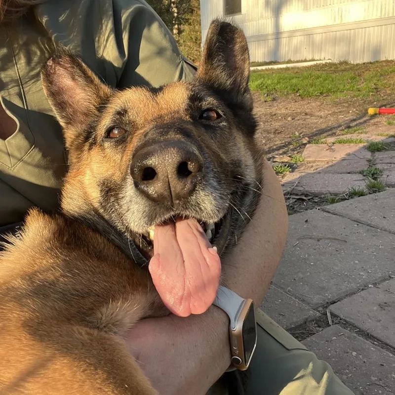 Miss November thumbnail 6