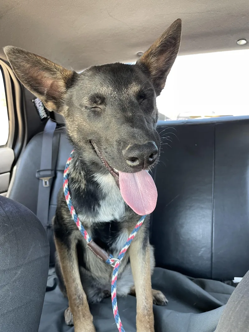 Kona