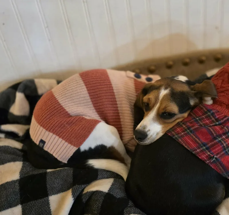 Lady Tilly thumbnail 2