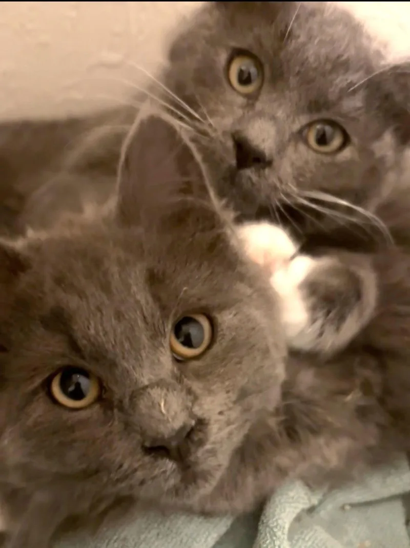 Hadley And Rowen thumbnail 3