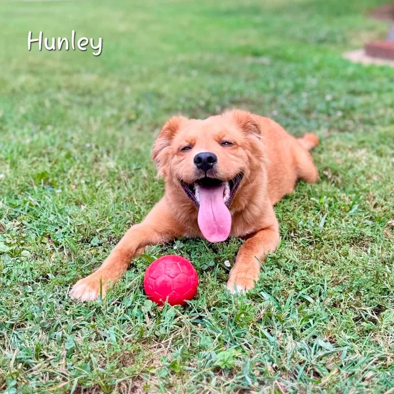 Hunley thumbnail 2