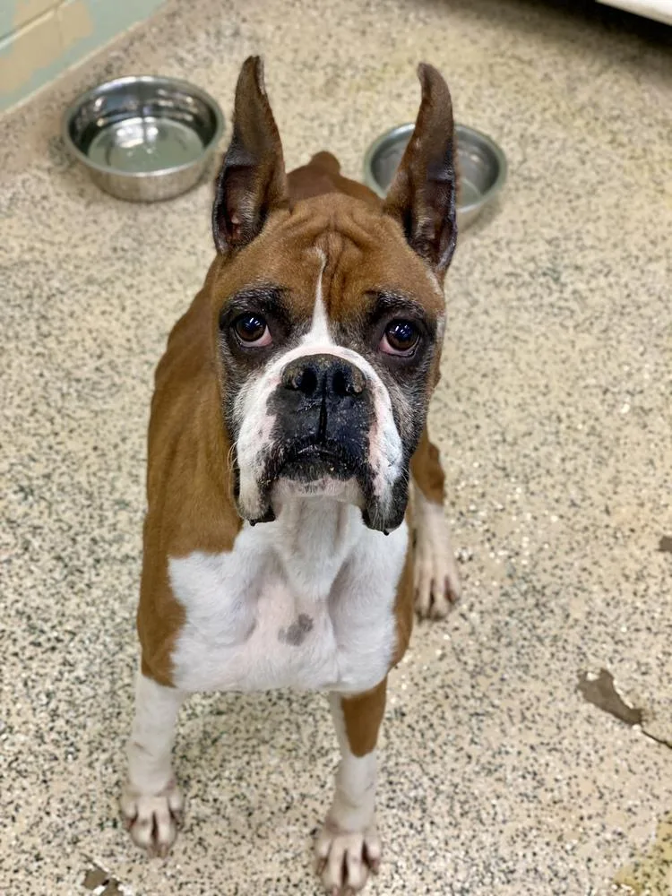 Waterloo thumbnail 2