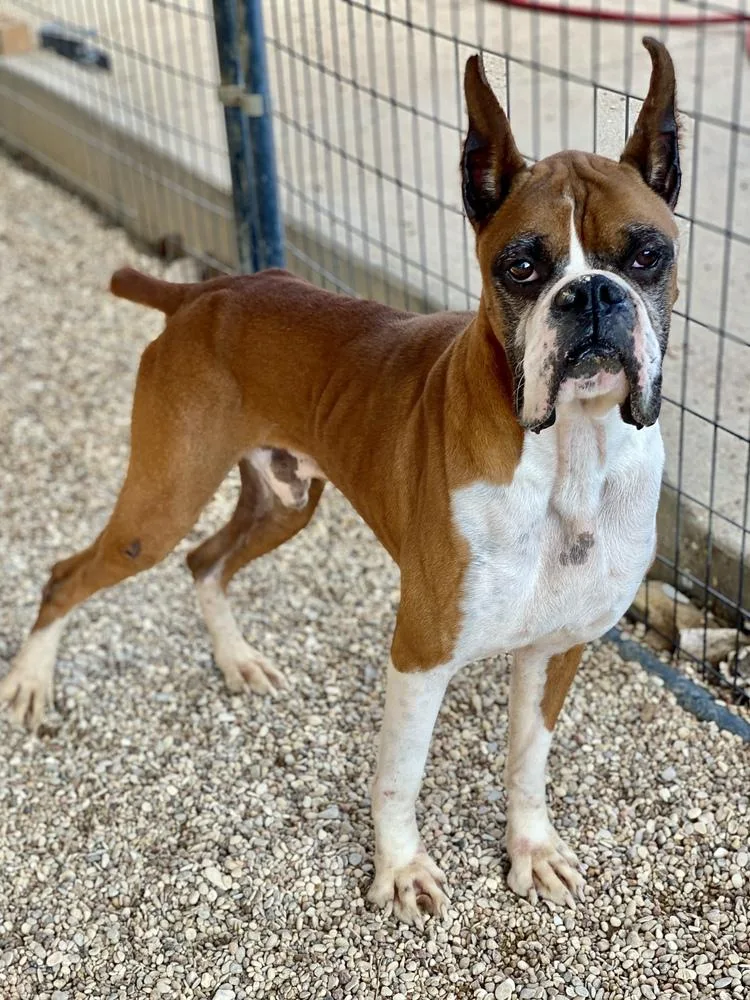 Waterloo thumbnail 3